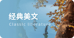 随笔