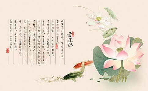 ����˵����10ƪ