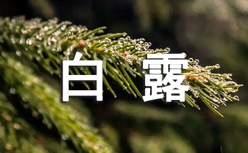 与白露节气有关的诗句(精选130句)