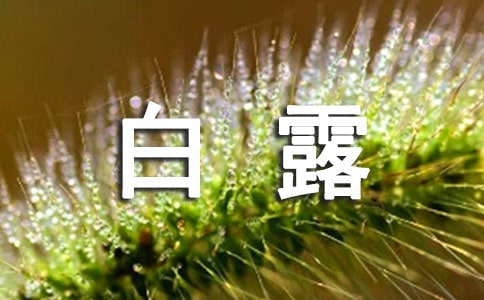 ��¶����Ψ��ʫ�䣨��ѡ130�䣩