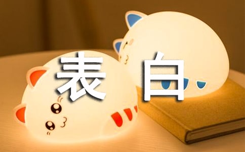 简单表白语录