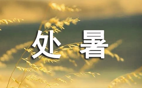 形容处暑的诗句