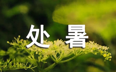 ���ڴ����ʫ�ʣ���ѡ40�ף�