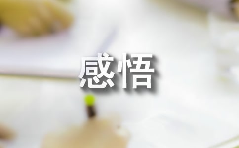 哲理人生感悟经典语句