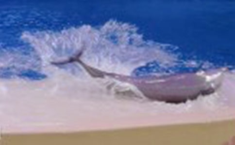 �Һͺ������ܽӴ�����