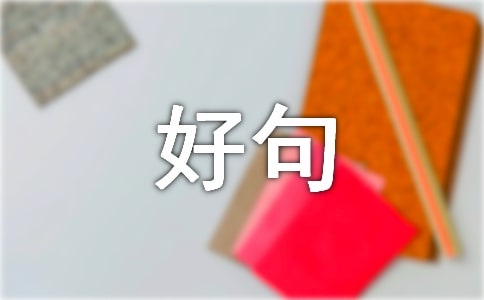 人生哲理感悟好句子