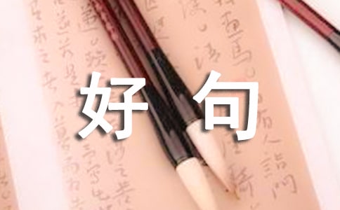 ��ѡ��д��ĺþ�ö�