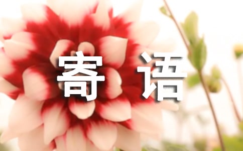 春分寄语简短霸气(精选400句)