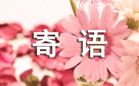 再见2024你好2025暖心寄语(精选270句)