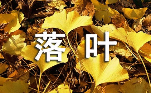 落叶的唯美文案