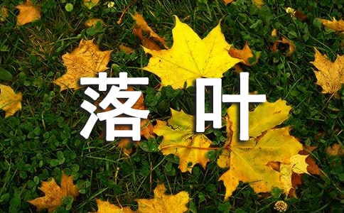 ��Ҷʫ��