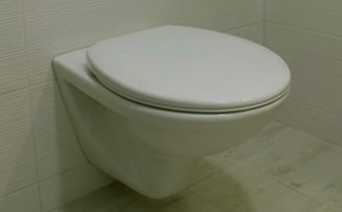 小马桶三年级作文