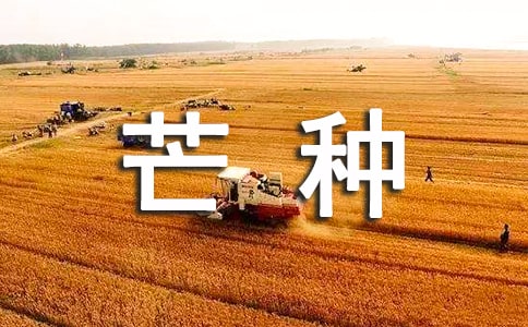 关于芒种的古诗词(精选44首)
