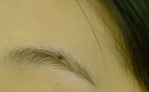 父亲的眉毛作文_描写爸爸900字