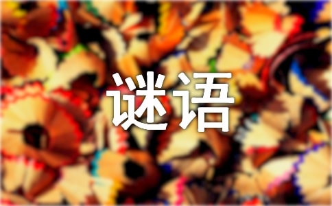 �ں����Ｐ�𰸣���ѡ440����