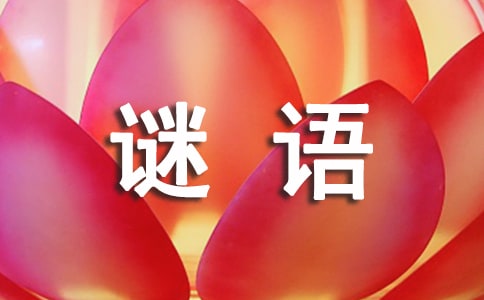 谜语大全及谜底