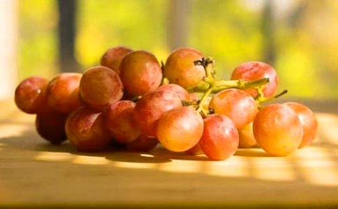 ժ�������ľ�ѡ[15ƪ]