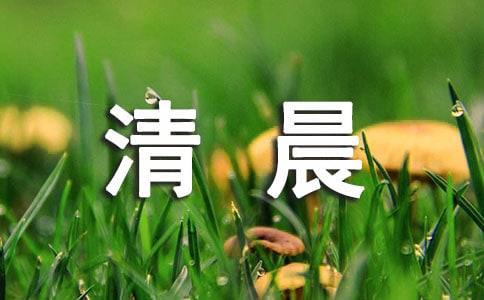 �������������峿΢��