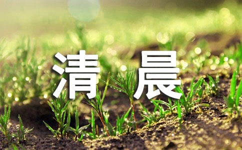 �峿������