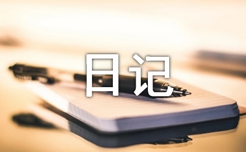 小学日记300字「7篇」
