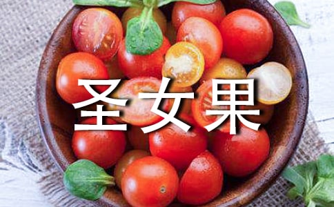 ʥŮ����Ӫ����ֵ��ʲô