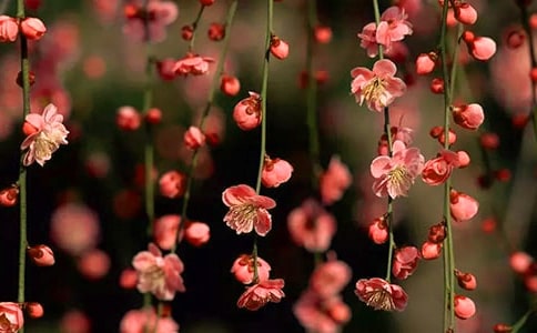 �˽̰桶�һ���ľ����ѧ���