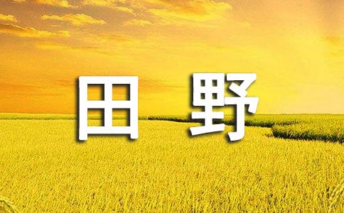 �ļ�����Ұ����