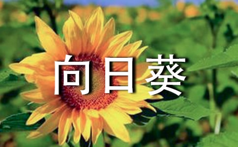 ���տ����ģ�������