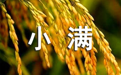 С��ʱ�ڵ�ʫ�ʣ���ѡ25�ף�