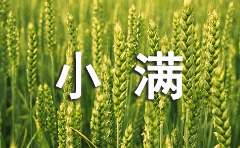 关于小满节气的古诗(通用60首)
