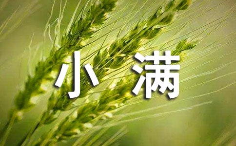 关于《小满》古诗