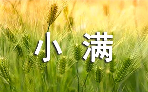 关于小满的古诗