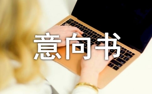 软件合同意向书
