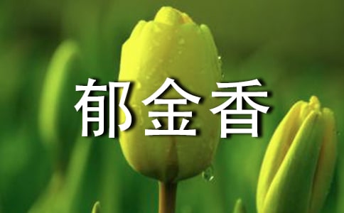 ���������ġ�����