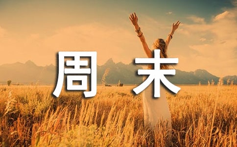 一年级周末日记