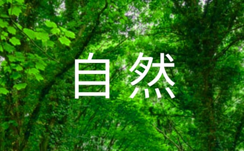 ���ֵĴ���Ȼ
