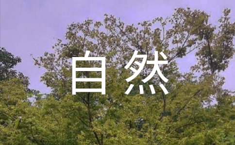 (��)������Ȼ�ġ���ѧʵ¼