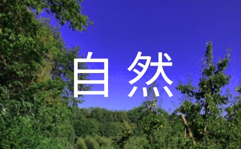 ����Ȼ�������̾�