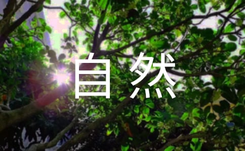 自然的亲切的心情日记