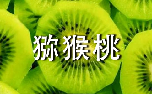 ⨺�������12ƪ�����ţ�